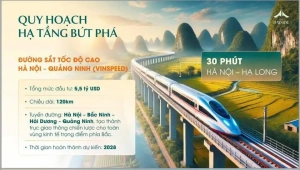 quy hoach ha tang but pha